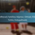 featured-image-aisthetike-gepedou-khortou-optike-ele-topio-ensomatose