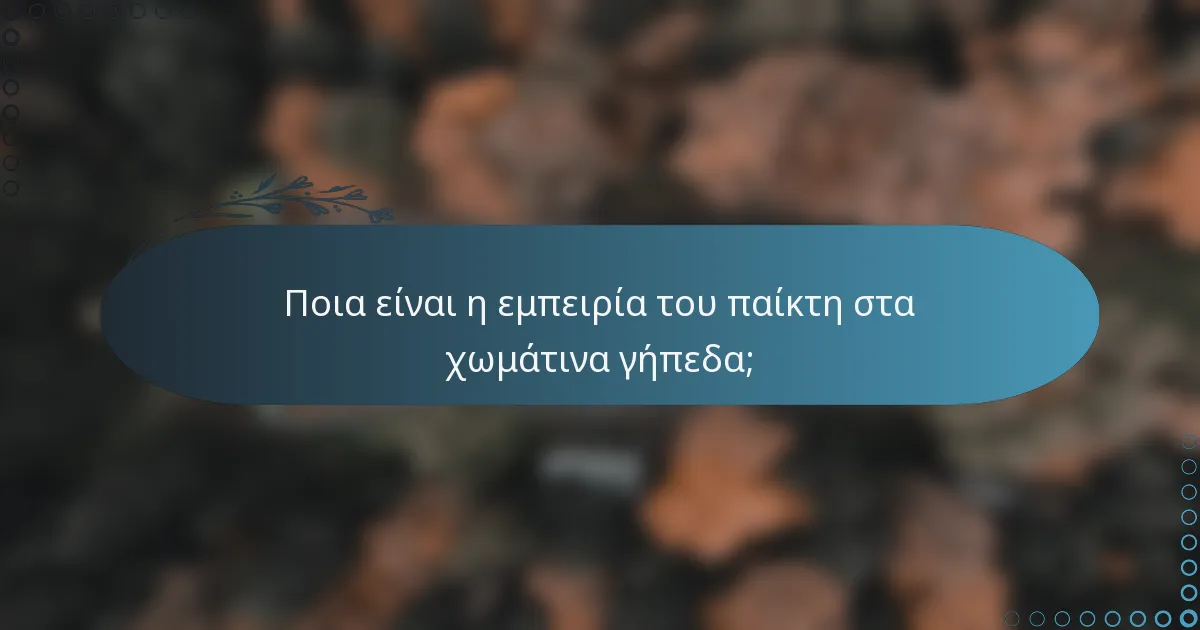 Ποια είναι η εμπειρία του παίκτη στα χωμάτινα γήπεδα;