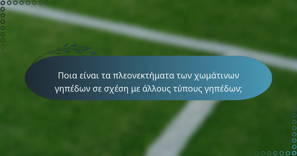 Ποια είναι τα πλεονεκτήματα των χωμάτινων γηπέδων σε σχέση με άλλους τύπους γηπέδων;