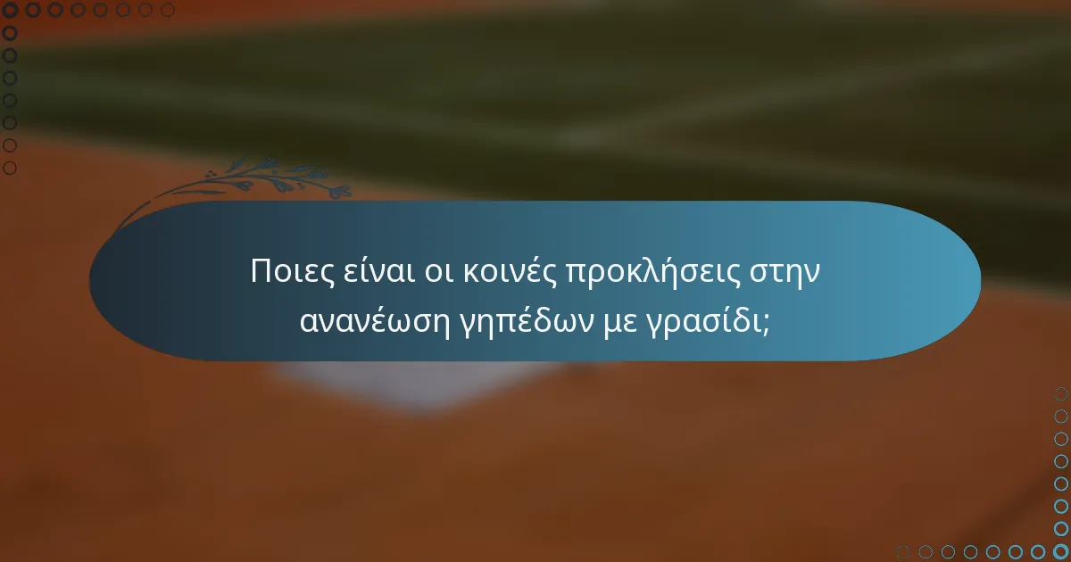 Ποιες είναι οι κοινές προκλήσεις στην ανανέωση γηπέδων με γρασίδι;